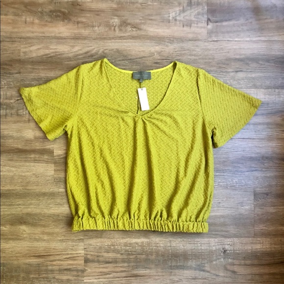 NWT Anthro Citron Sidonie V-neck Top - Picture 6 of 11